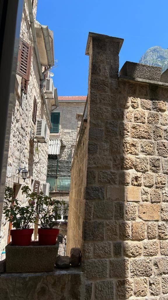 Royal House * Kotor